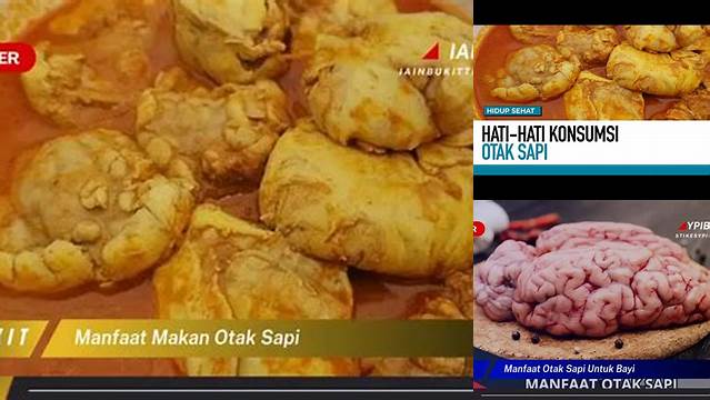 Temukan 9 Manfaat Makan Otak Sapi yang Jarang Diketahui