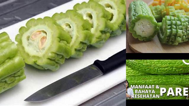 Temukan 8 Manfaat Pare Kukus yang Jarang Diketahui