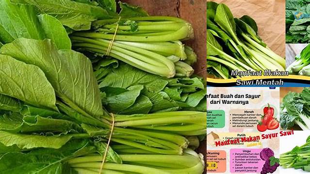 Temukan Manfaat Sayur Sawi yang Jarang Diketahui