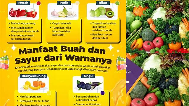 Manfaat Sayur yang Jarang Diketahui, Wajib Kamu Tahu!