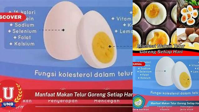 Temukan 9 Manfaat Makan Telur Goreng Setiap Hari, Dijamin Bikin Penasaran!