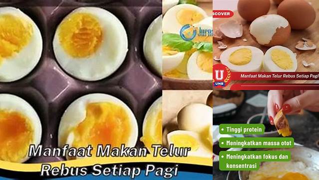 Temukan 7 Manfaat Makan Telur Rebus Tiap Pagi yang Jarang Diketahui