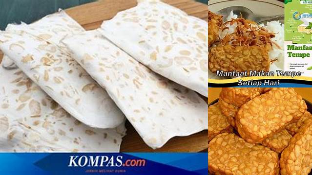 Manfaat Makan Tempe Setiap Hari Terungkap, Anda Harus Tahu!