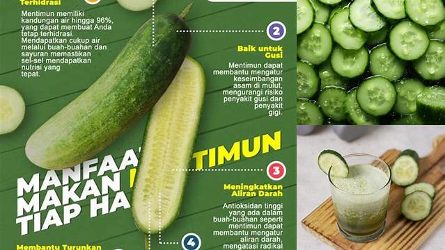 Temukan Manfaat Makan Timun yang Jarang Diketahui