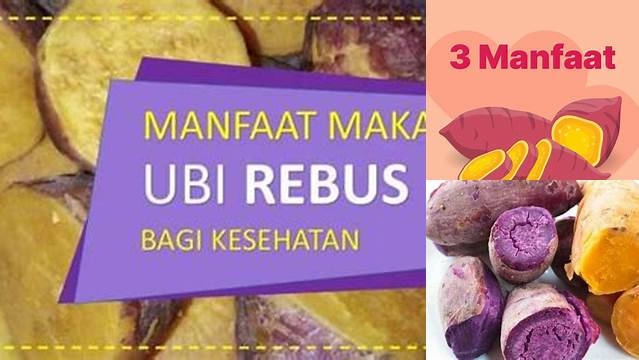 Temukan Manfaat Makan Ubi Rebus yang Jarang Diketahui