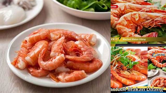 Temukan Manfaat Makan Udang yang Jarang Diketahui