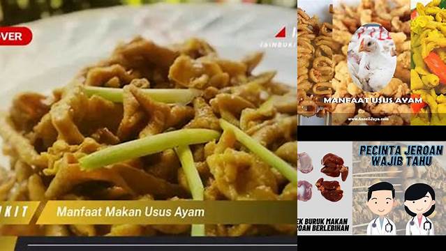 Manfaat Makan Usus Ayam yang Jarang Diketahui