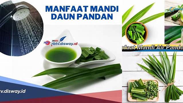 Manfaat Mandi Air Pandan yang Bisa Bikin Kamu Tercengang!