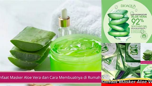 Manfaat Masker Aloe Vera yang Jarang Diketahui, Wajib Anda Tahu!