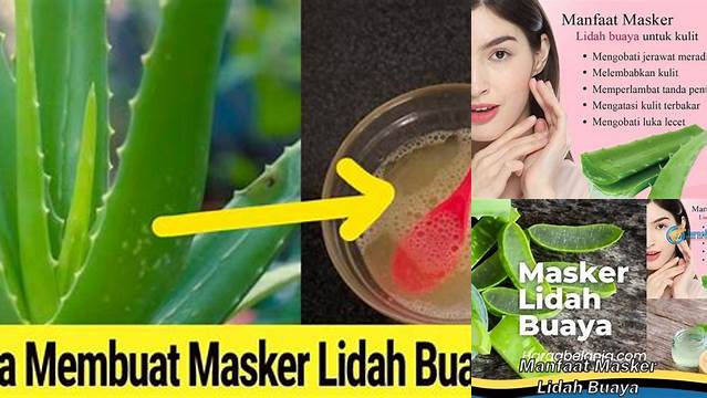 Temukan 10 Manfaat Masker Lidah Buaya yang Jarang Diketahui