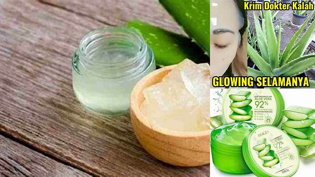 10 Manfaat Masker Lidah Buaya untuk Wajah yang Jarang Diketahui