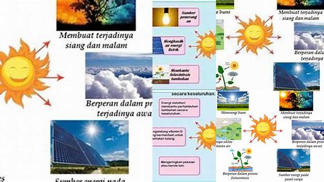Temukan 6 Manfaat Matahari Bagi Alam yang Jarang Diketahui