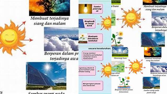 Temukan 6 Manfaat Matahari Bagi Alam yang Jarang Diketahui