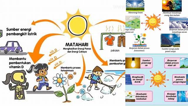 Temukan 10 Manfaat Ajaib Matahari yang Jarang Diketahui untuk Hidup Anda