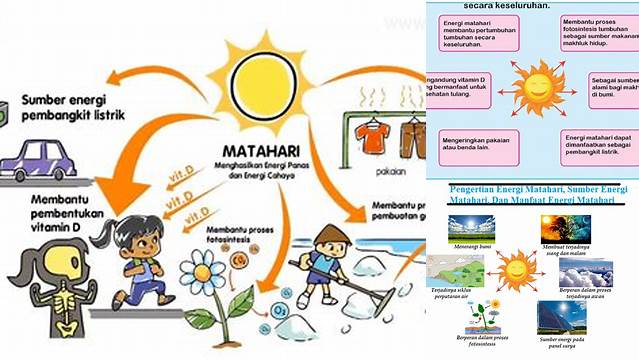 Temukan Manfaat Matahari untuk Tumbuhan yang Jarang Diketahui