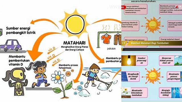 10 Manfaat Matahari untuk Tumbuhan yang Jarang Diketahui