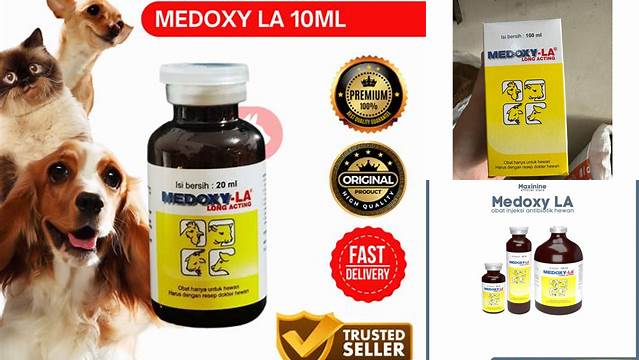Temukan Manfaat Medoxy LA untuk Ayam, Rahasia Penting yang Perlu Anda Ketahui!