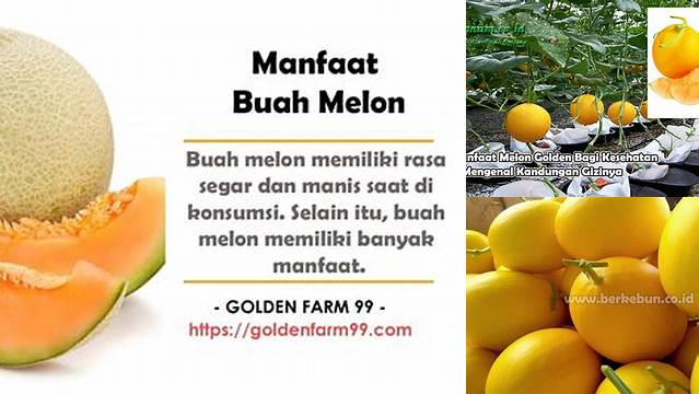 Temukan Manfaat Melon Golden yang Jarang Diketahui