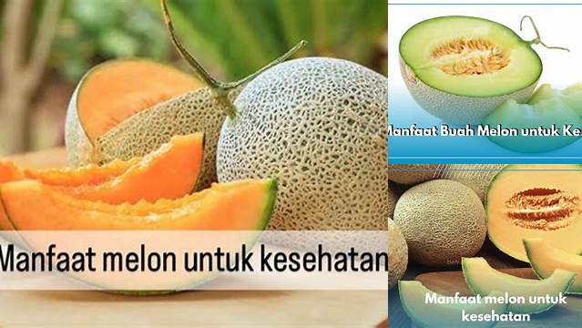 Manfaat Melon untuk Kesehatan: Penemuan dan Wawasan yang Menakjubkan!