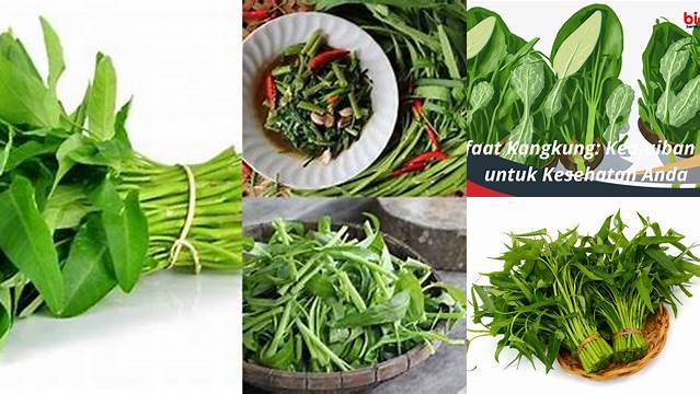 Manfaat Memakan Kangkung [Nomor Manfaat] yang Jarang Diketahui, Ternyata [Manfaat Spesifik]!