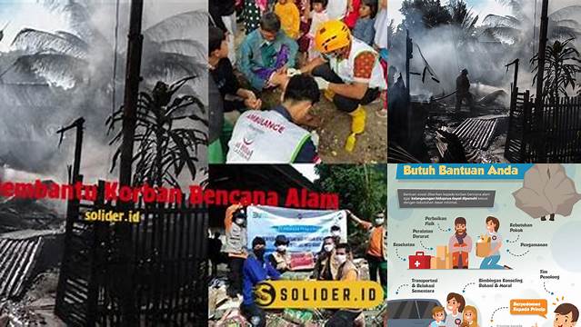 Temukan 8 Manfaat Membantu Korban Bencana Alam yang Jarang Diketahui