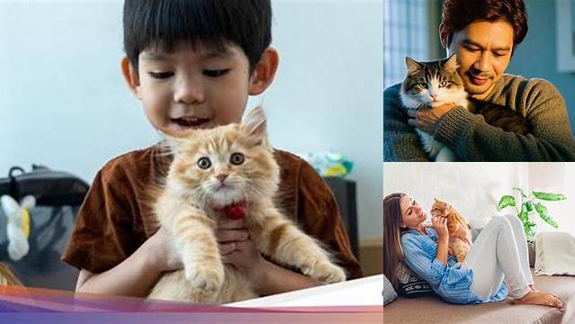 Temukan Manfaat Memelihara Kucing di Rumah yang Jarang Diketahui