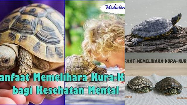 Temukan Manfaat Memelihara Kura-kura yang Jarang Diketahui
