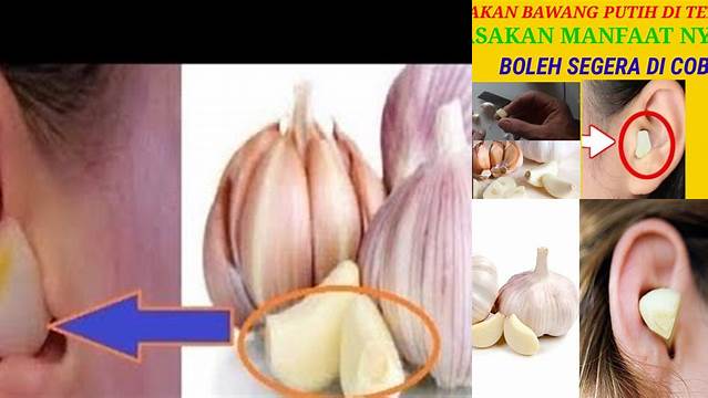 Temukan Manfaat Taruh Bawang Putih di Telinga yang Jarang Diketahui