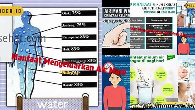 Manfaat Mengeluarkan Air Mani yang Jarang Diketahui