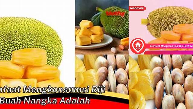 Temukan Khasiat Biji Nangka yang Jarang Diketahui