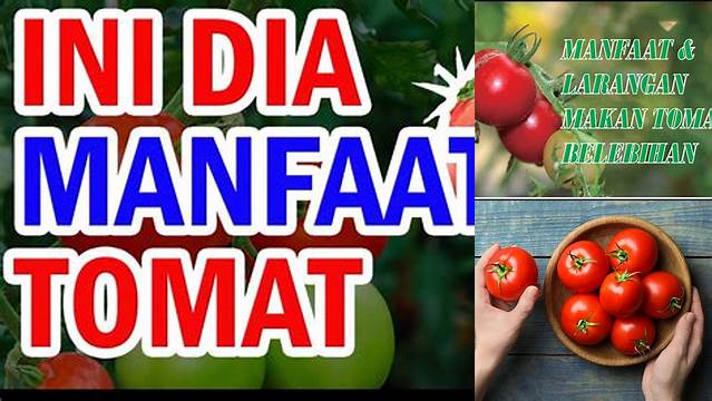 Manfaat Konsumsi Tomat: Temukan Berbagai Manfaat Penting yang Jarang Diketahui!