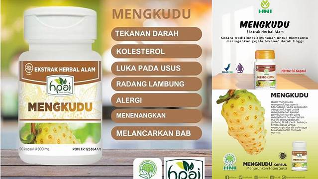 Temukan Manfaat Mengkudu HNI HPAI yang Belum Banyak Diketahui