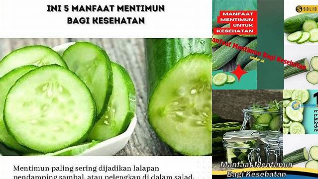 Ungkap Manfaat Mentimun Bagi Kesehatan yang Jarang Diketahui