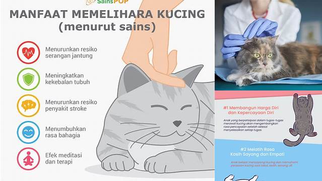 5 Manfaat Merawat Kucing yang Jarang Diketahui