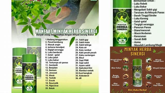 Temukan Manfaat MHS HNI yang Anda Belum Tahu