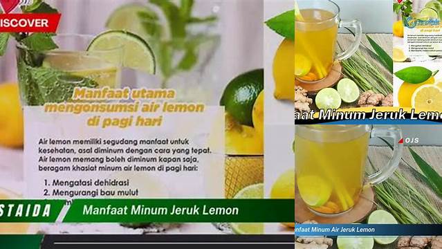 Temukan 9 Manfaat Minum Air Jeruk Lemon yang Jarang Diketahui