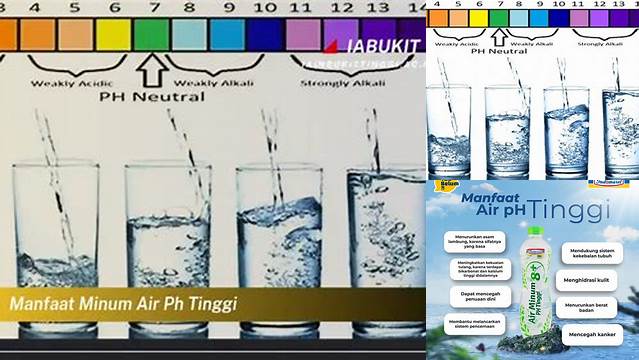 5 Manfaat Minum Air pH Tinggi yang Jarang Diketahui