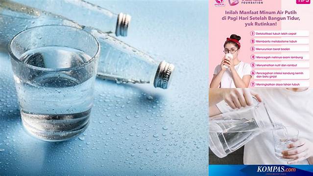 Temukan Manfaat Minum Air Putih Saat Bangun Tidur yang Jarang Diketahui