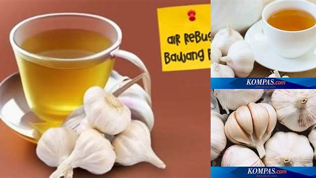 Manfaat Minum Air Rebusan Bawang Putih yang Jarang Diketahui