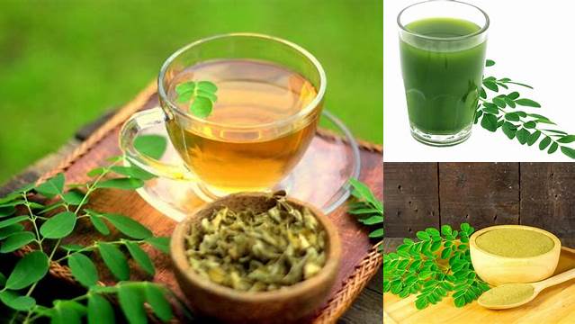 Manfaat Menakjubkan Minum Air Rebusan Daun Kelor yang Jarang Diketahui