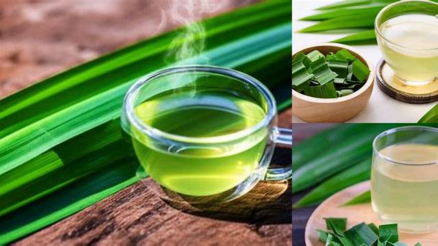 Temukan Manfaat Air Rebusan Daun Pandan yang Jarang Diketahui