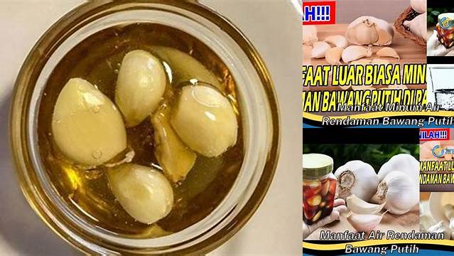 Manfaat Air Rendaman Bawang Putih yang Jarang Diketahui, Wajib Tahu!