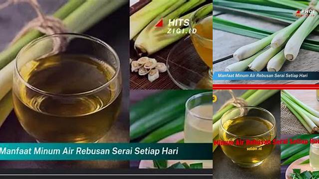 Temukan Manfaat Minum Air Serai Setiap Hari yang Jarang Diketahui