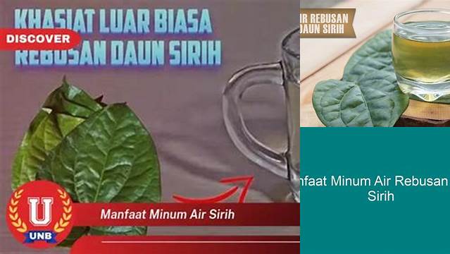 Temukan Khasiat Air Sirih yang Jarang Diketahui Anda Perlu Tahu!