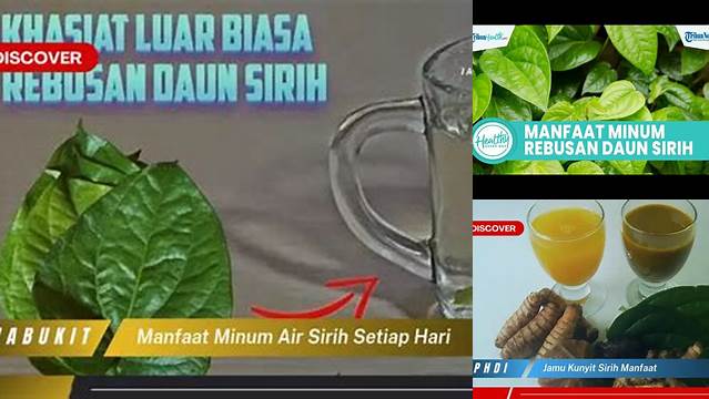 Temukan 10 Manfaat Minum Air Sirih Setiap Hari yang Jarang Diketahui