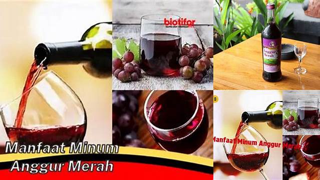 Temukan Manfaat Minum Anggur Merah yang Jarang Diketahui