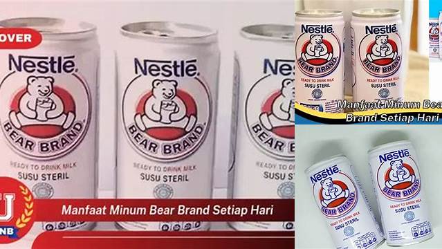 Temukan Manfaat Minum Bear Brand Setiap Hari yang Jarang Diketahui!