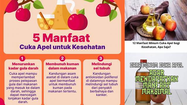 Temukan 7 Manfaat Minum Cuka Apel Sebelum Makan yang Jarang Diketahui