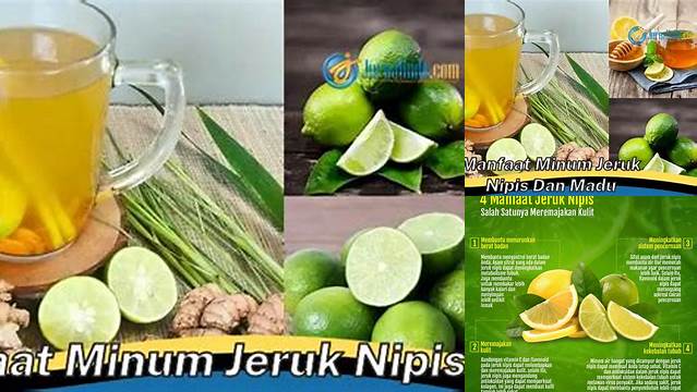 Temukan 10 Manfaat Minum Jeruk Nipis yang Jarang Diketahui