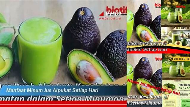 Temukan Manfaat Minum Jus Alpukat Tiap Hari yang Belum Diketahui Umum